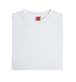 Round Neck T-Shirt CT03 (Female)-F030