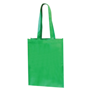 NON WOVEN BAG G10-GF