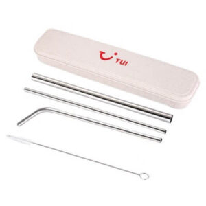 4-in-1 Silver Stainless Steel Drinking Straw Gifts Set GTTB003-F072