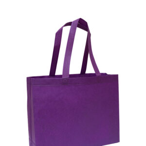 NON WOVEN BAG NW19 -F068