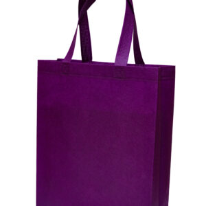 NON WOVEN BAG NW21 -F068