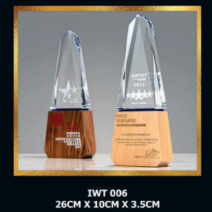 Exclusive Crystal Wooden Award IWT 006-F023