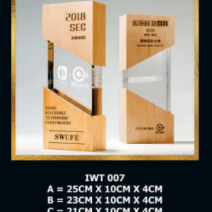 Exclusive Crystal Wooden Award IWT 007-F023