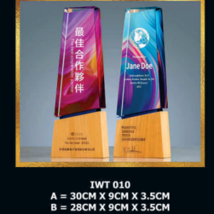 Exclusive Crystal Wooden Award IWT 010-F023