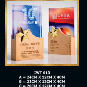 Exclusive Crystal Wooden Award IWT 013-F023