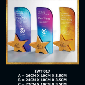 Exclusive Crystal Wooden Award IWT 017-F023