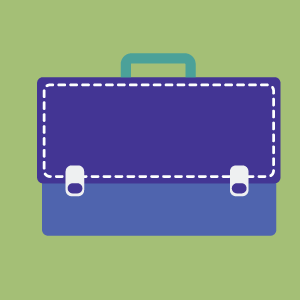 Document Bag