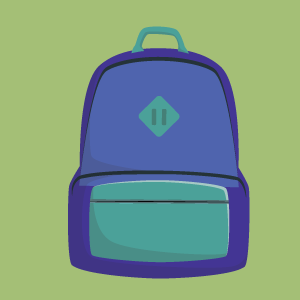 Laptop Backpack