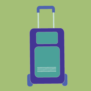 Travel Bag & Trolley Bag